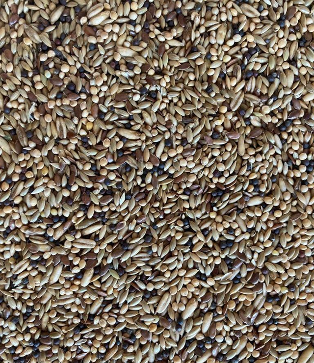 Misto canarini plus ornitalia 20 kg