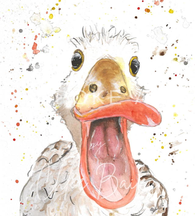 ‘Harold’ Print