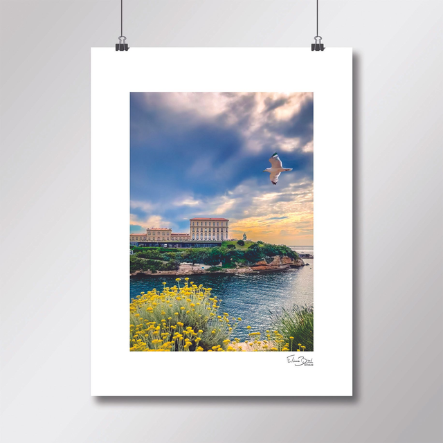 Affiche « Planer »