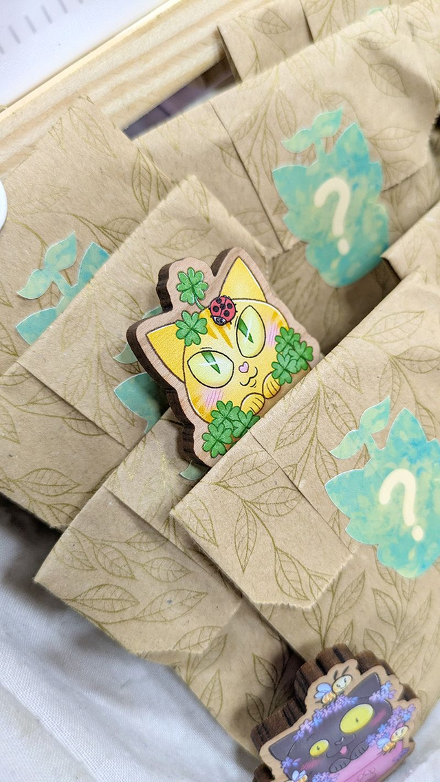 Pin's Potichat mystère