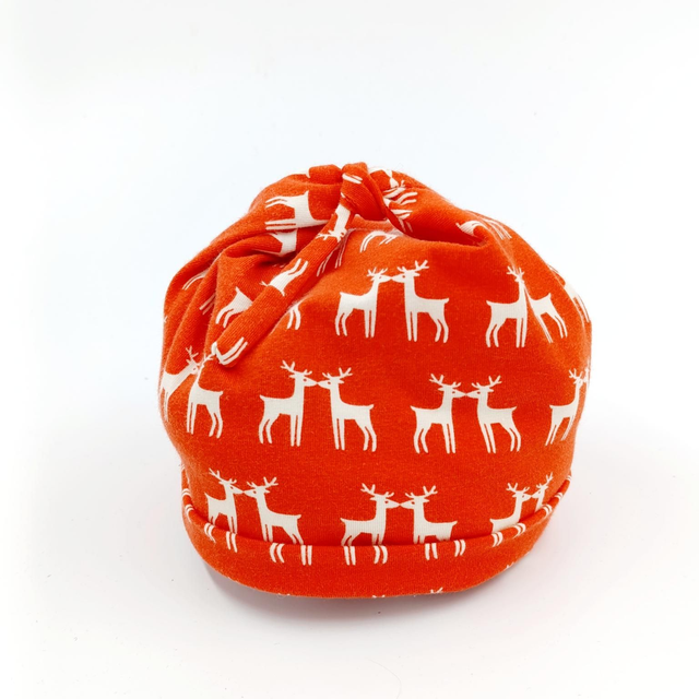 Waly rennes de noël 