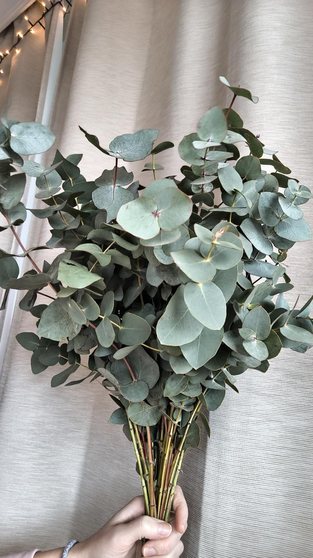 FRISS eukaliptusz csokor 