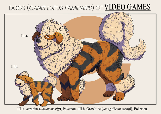 Carte postale - Arcanin et Caninos 