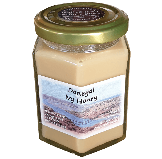 Donegal Ivy Honey. Available again Nov 2025.