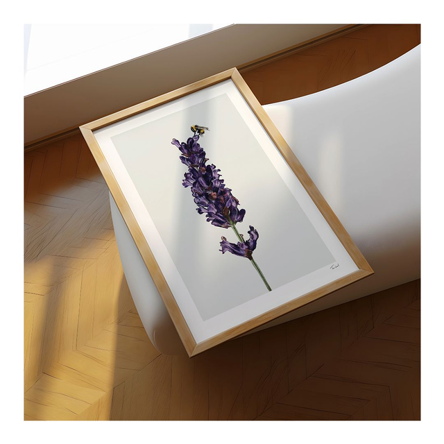&#039;Lavender and Bee&#039; art print