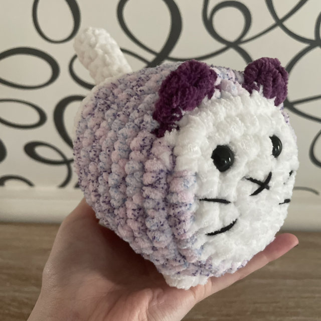 Chat boule violet