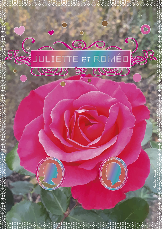 AFFICHE A3 / FLORE (16) personnalisable