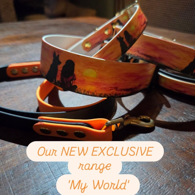 'MY WORLD' Biothane collar &amp; lead