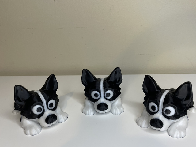 Border Collie Dog flexi fidget 