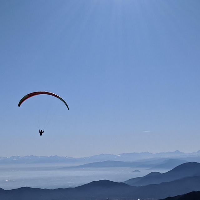 LÉGÈRETÉ Sureau/Menthe