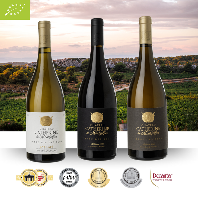 Coffret Grands Concours Internationaux 2025