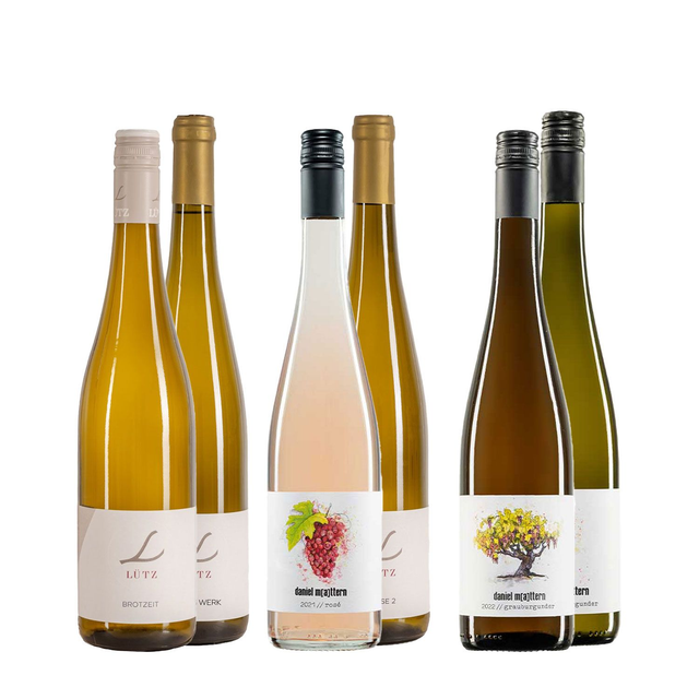 Mix Spaß Weinpaket 6Fl. 