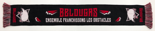 G36 - Echarpe Supporter