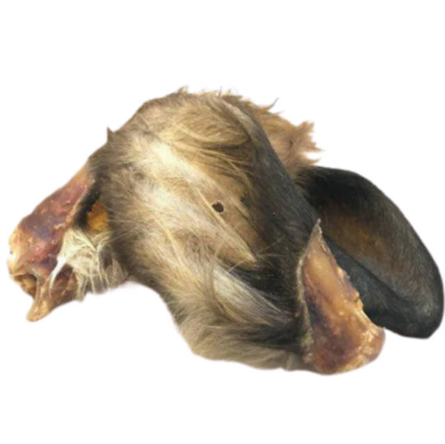 Cow Ears With Hair 