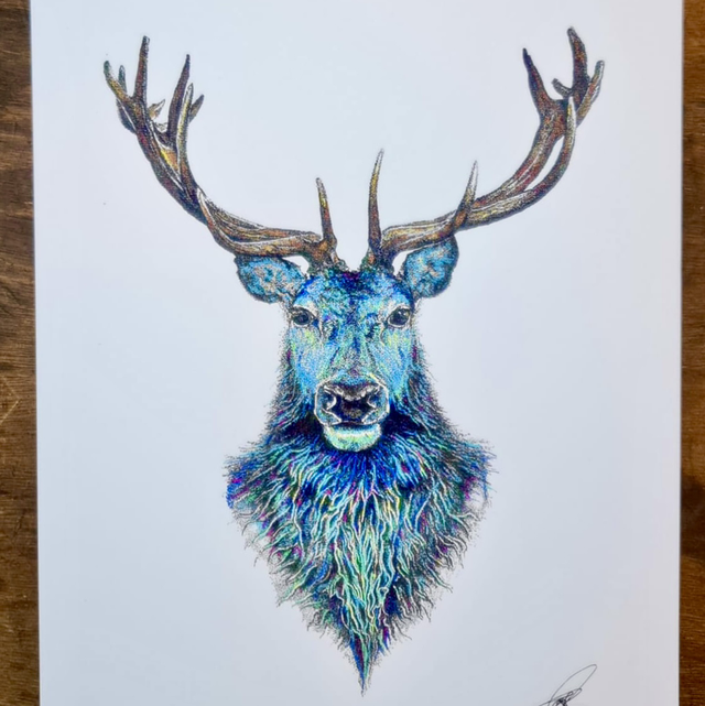The Blue stag 