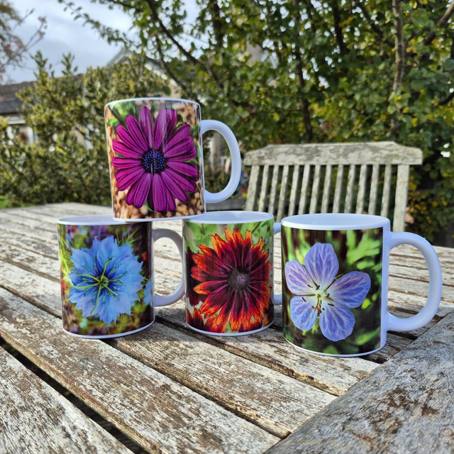 Nigella mug