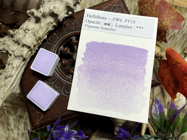 Hellébore Aquarelle