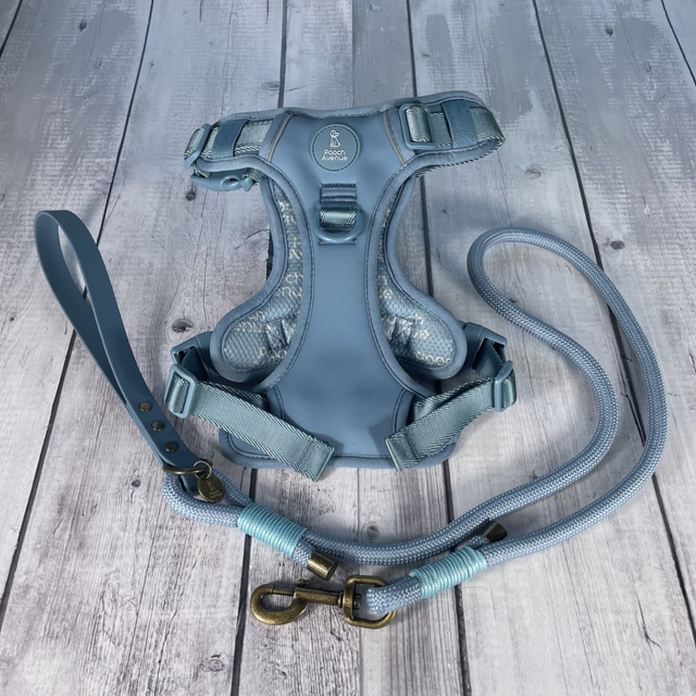 Blue Rope Lead with Waterproof BioThane® Handle