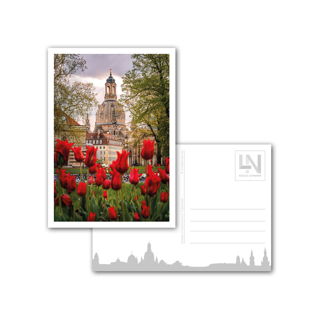 Dresden - Frauenkirche im Tulpenmeer - Postkarte