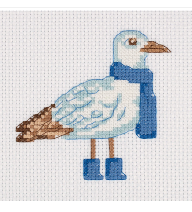 Möwe