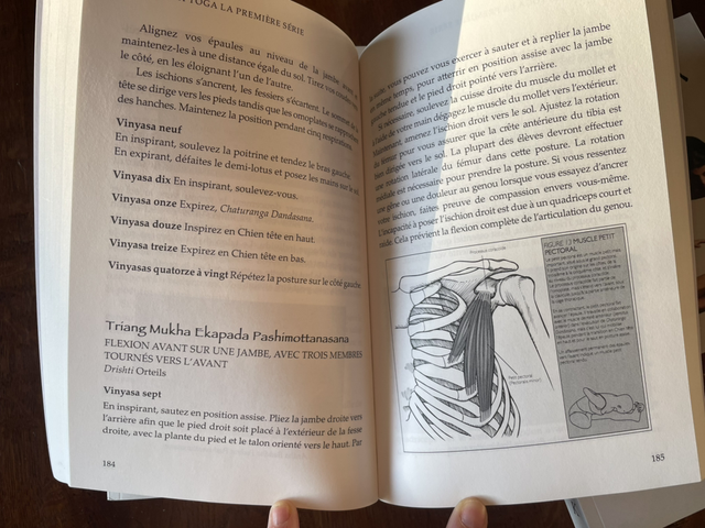 ASHTANGA : La première série, de Gregor Maehle