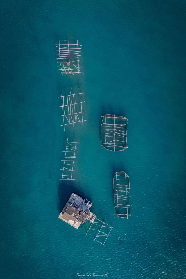 Tamaris et ses fermes d&#039;élevage ( La Seyne sur Mer )