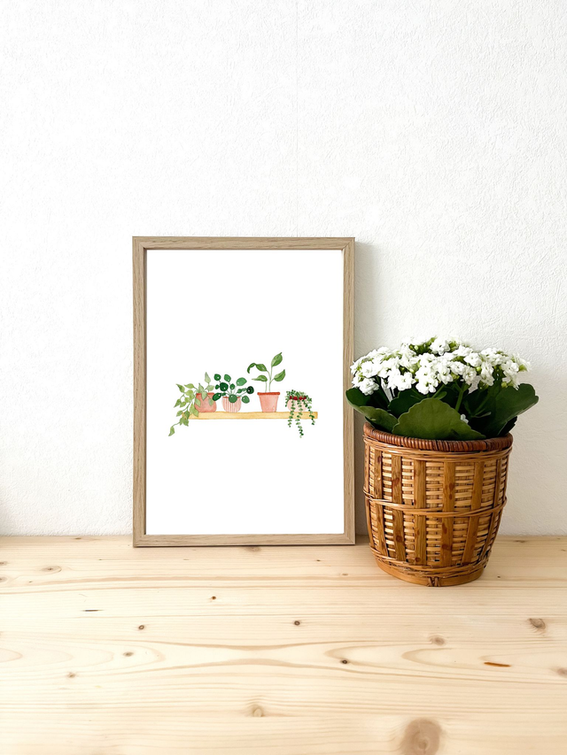 Affiche aquarelle A4 - Etagère de plantes