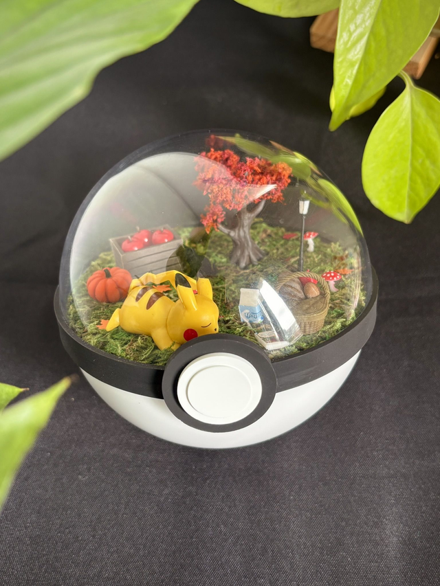 🍂 Terrarium Pokémon - Édition Automne - Pikachu