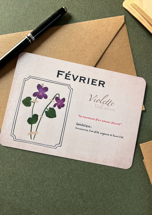 Carte 02. Février, la violette