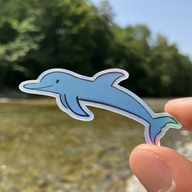 Dolphin Holo Sticker