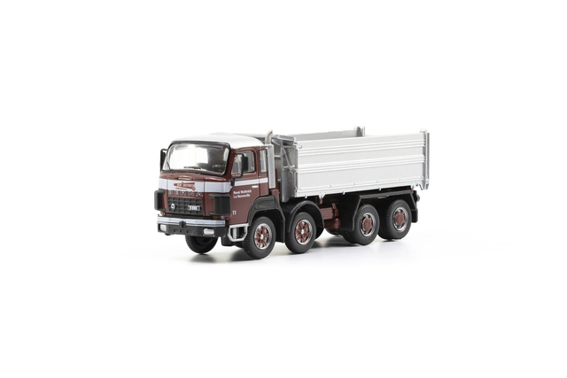 Berna D290B F8×4 Kipper Wuthrich ACE 1:87