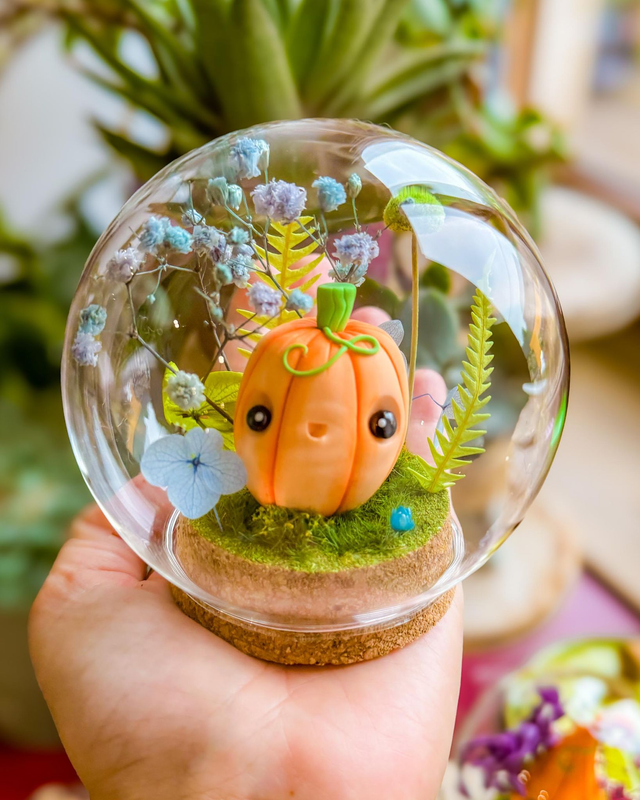 Citrouille / Lily / Cloche en verre