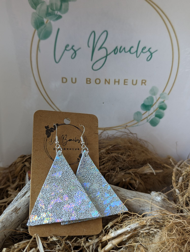Triangle tg013