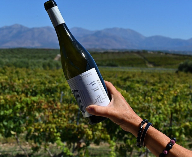 DAPHNI  ( 2021) / LYRARAKIS /Blanc 