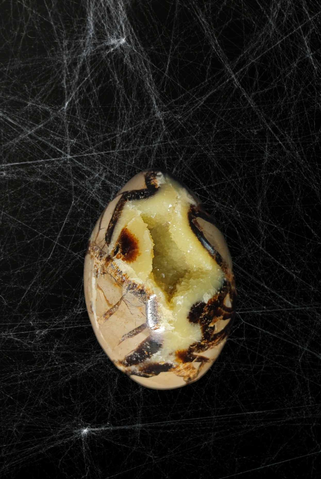 Druse Septaria