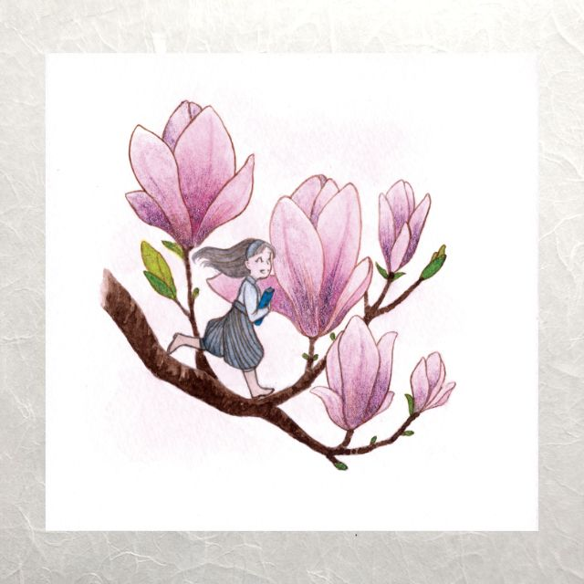 Herbarium - Magnolia