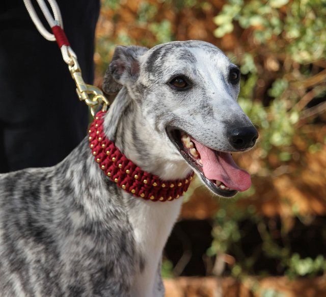 Collier Lie de vin et perles dorées 