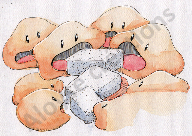 album "le retour de Choupinte"