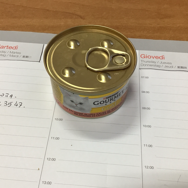 PURINA GOURMET GOLD CAT CON SALMONE SCOTTATO 85GR 7613036704946