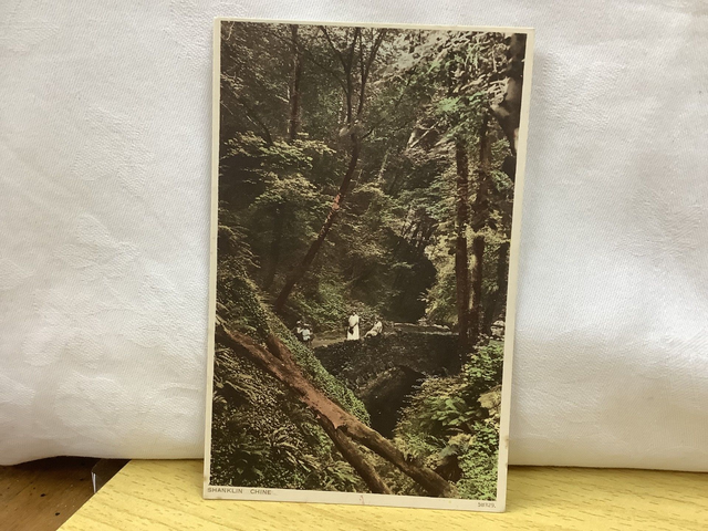 Shanklin Chine, Isle of Wight, vintage Photochrom Co. Ltd. Vintage Postcard. Our Ref No. R634 £2.50