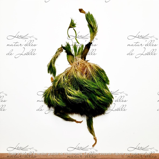 Saut en temps levé 20x20cm Papier Fine Art 308g 