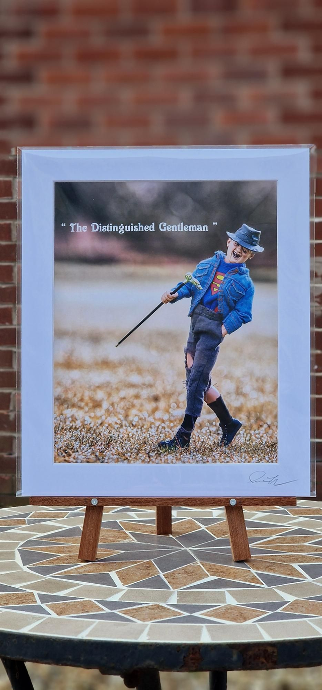 The Distinguished Gentleman 