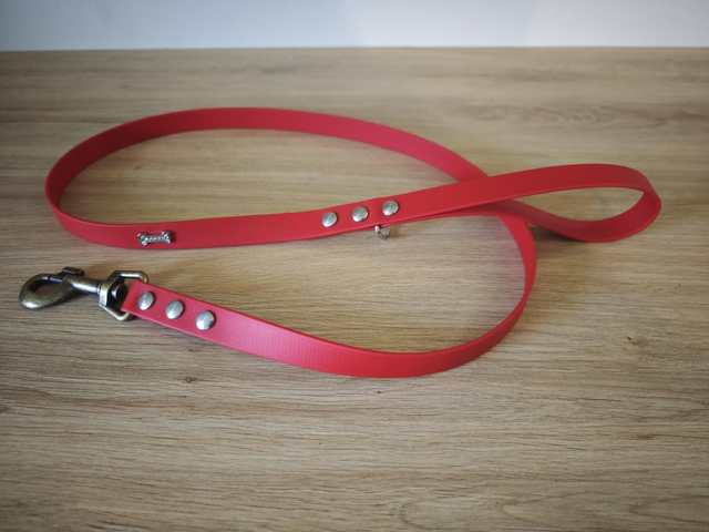 Laisse 19mm biothane de 1,25m de longueur !