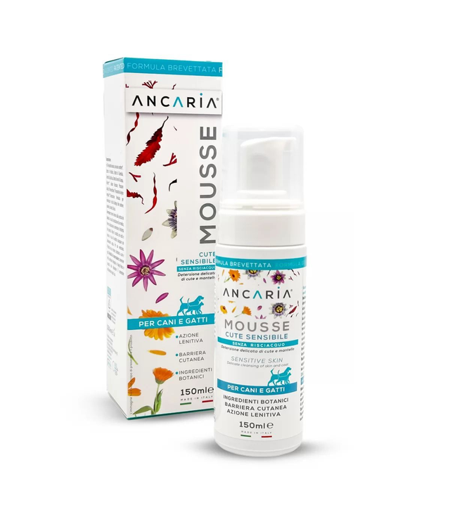 ANCARIA Mousse detergente a secco 150ml