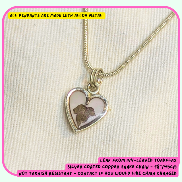 Heart Pendant | Necklace | Real Flower Pendants