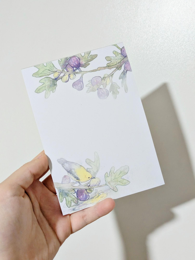 Bloc-notes Écho &amp; Narcisse 