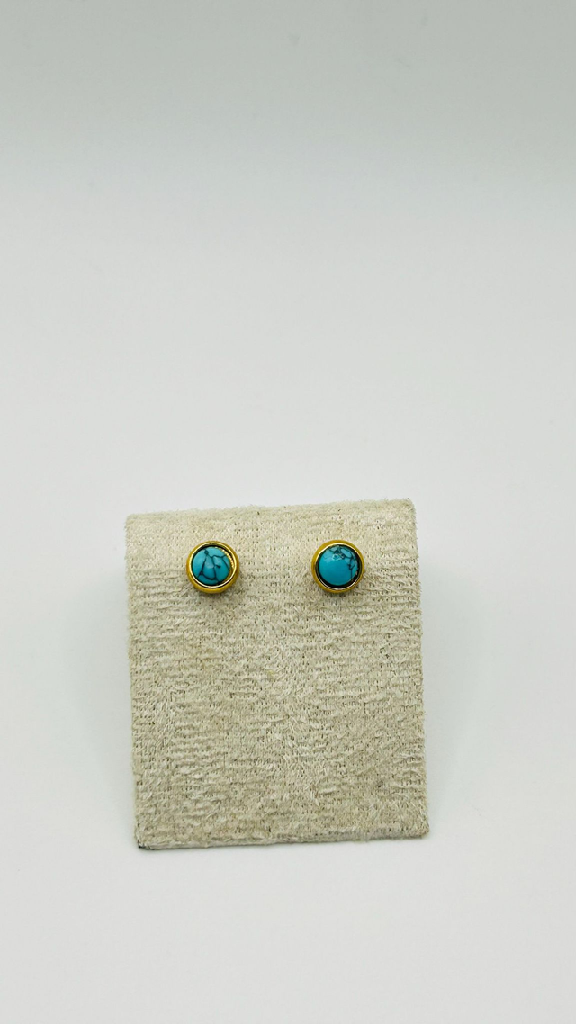 Stainless Steel Earrings (SSE38J)