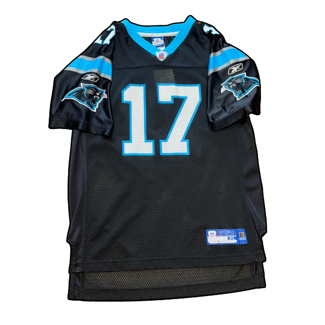 Carolina Panthers Delhomme Jersey - XL