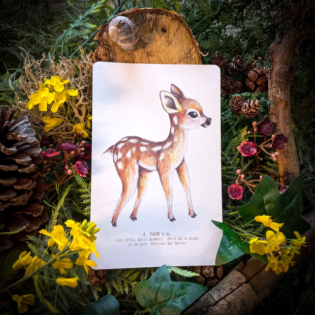 Carte &quot;Faon&quot;
