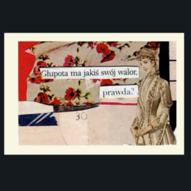 Miniaturka w ramce nr 28 - głupota ma walor